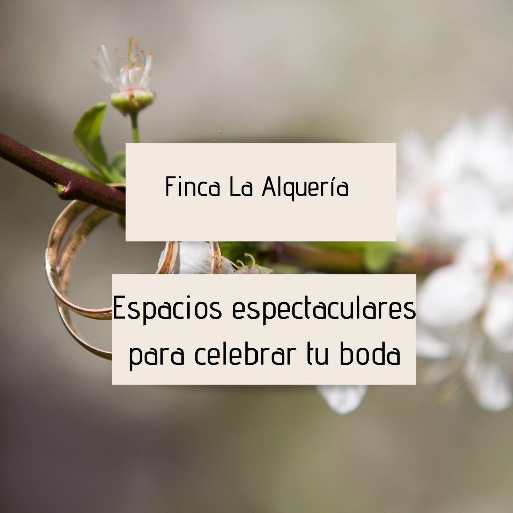 Finca Alquería - Espacios espectaculares para celebrar tu boda